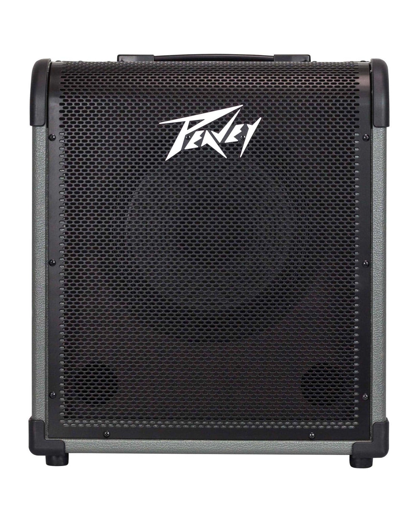 MAX 100 100-Watt Bass Combo Amp