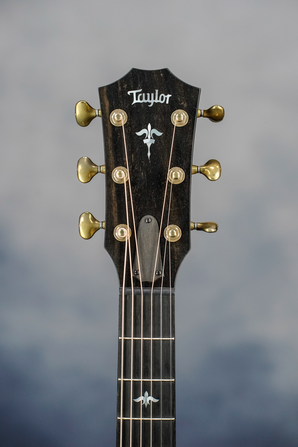 614ce Builders Edition Acoustic Guitar, Natural Top