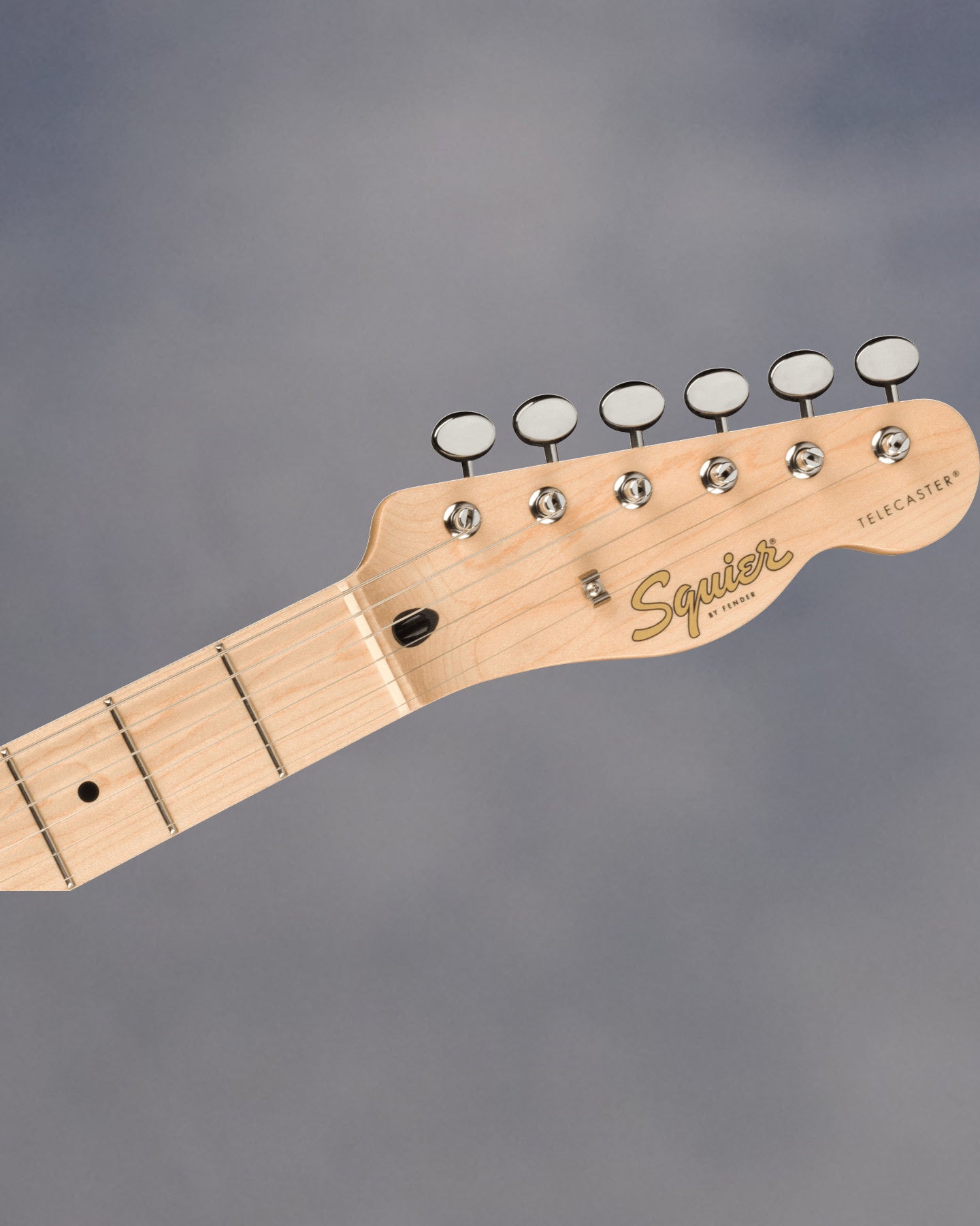 Paranormal Cabronita Tele Thinline, LPB