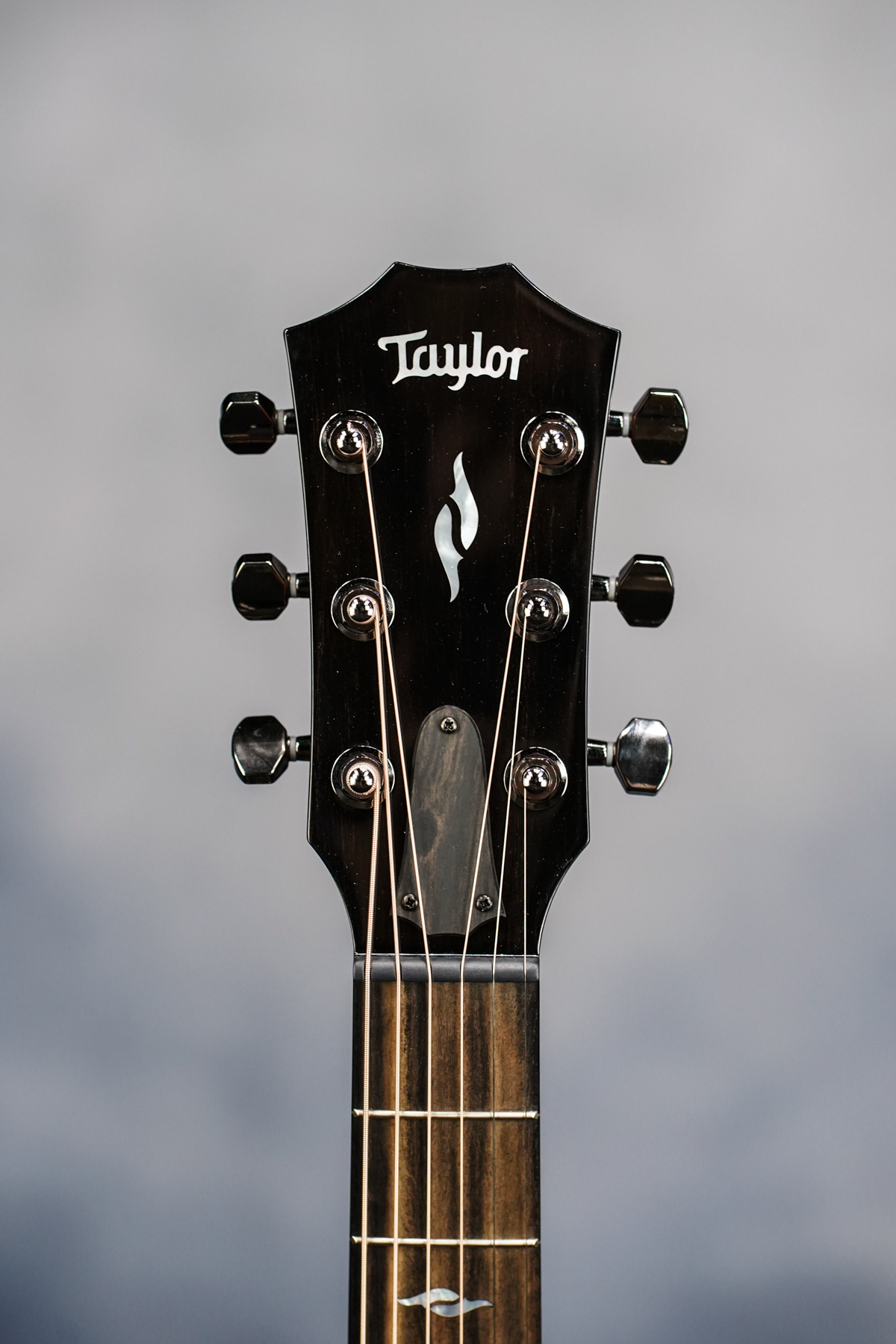 Taylor 811e Grand Theatre, w/ pickup