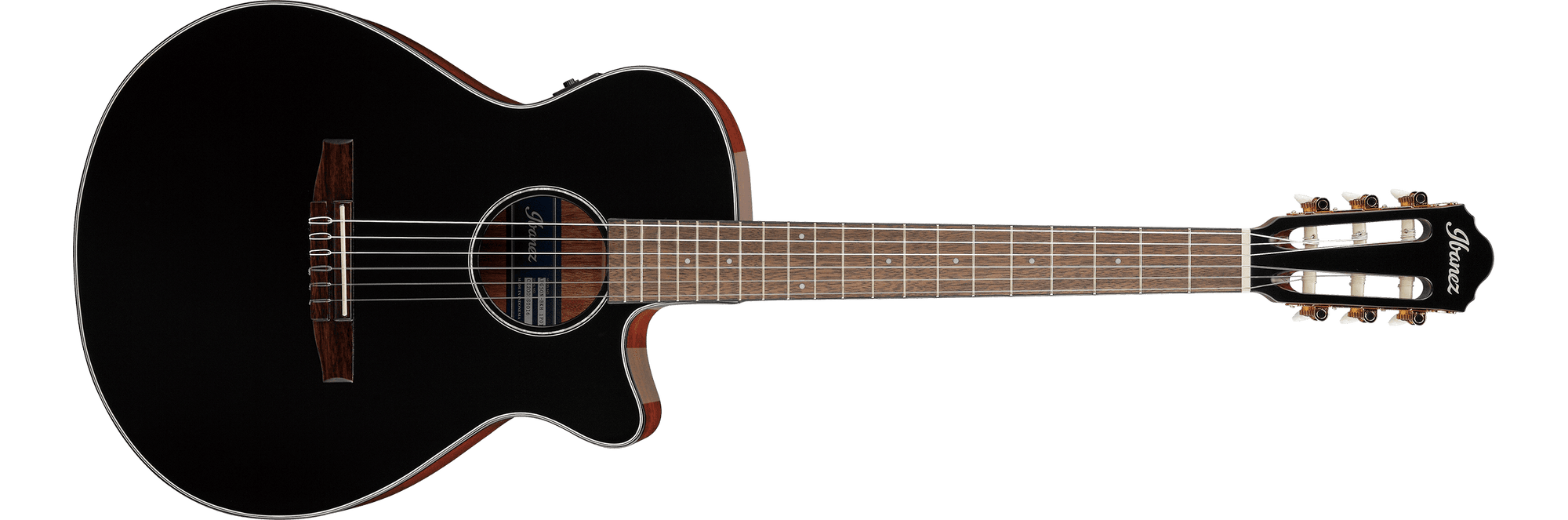 AEG50NBKH  Black High-Gloss Acoustic Electric