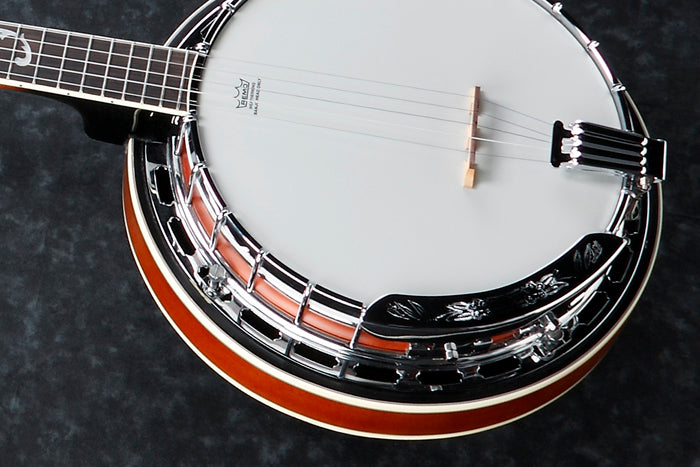 B200 5-String Banjo, Natural, Closed Back