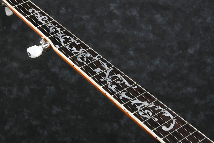 B200 5-String Banjo, Natural, Closed Back