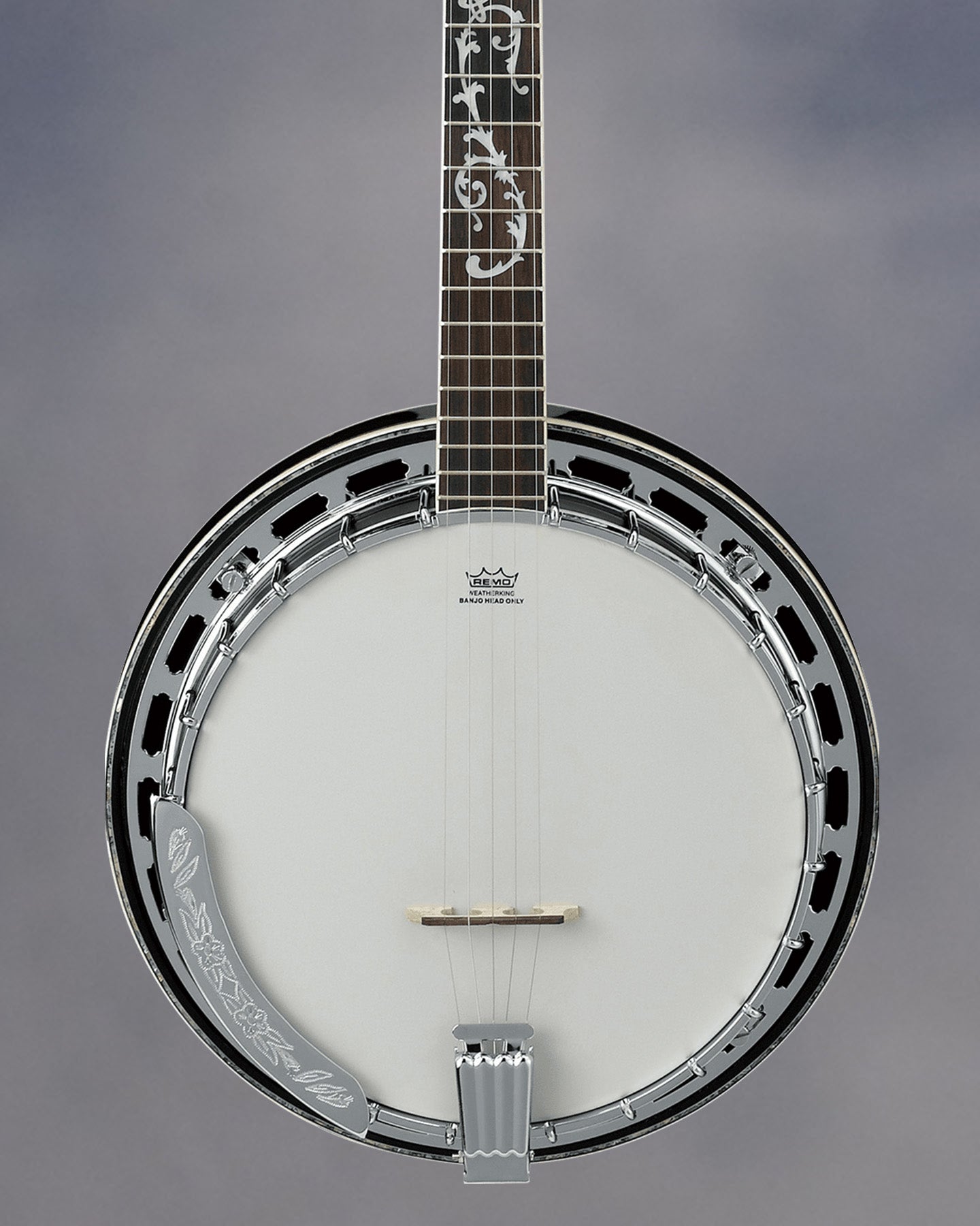 B300 5-String Banjo with Rosewood Resonator