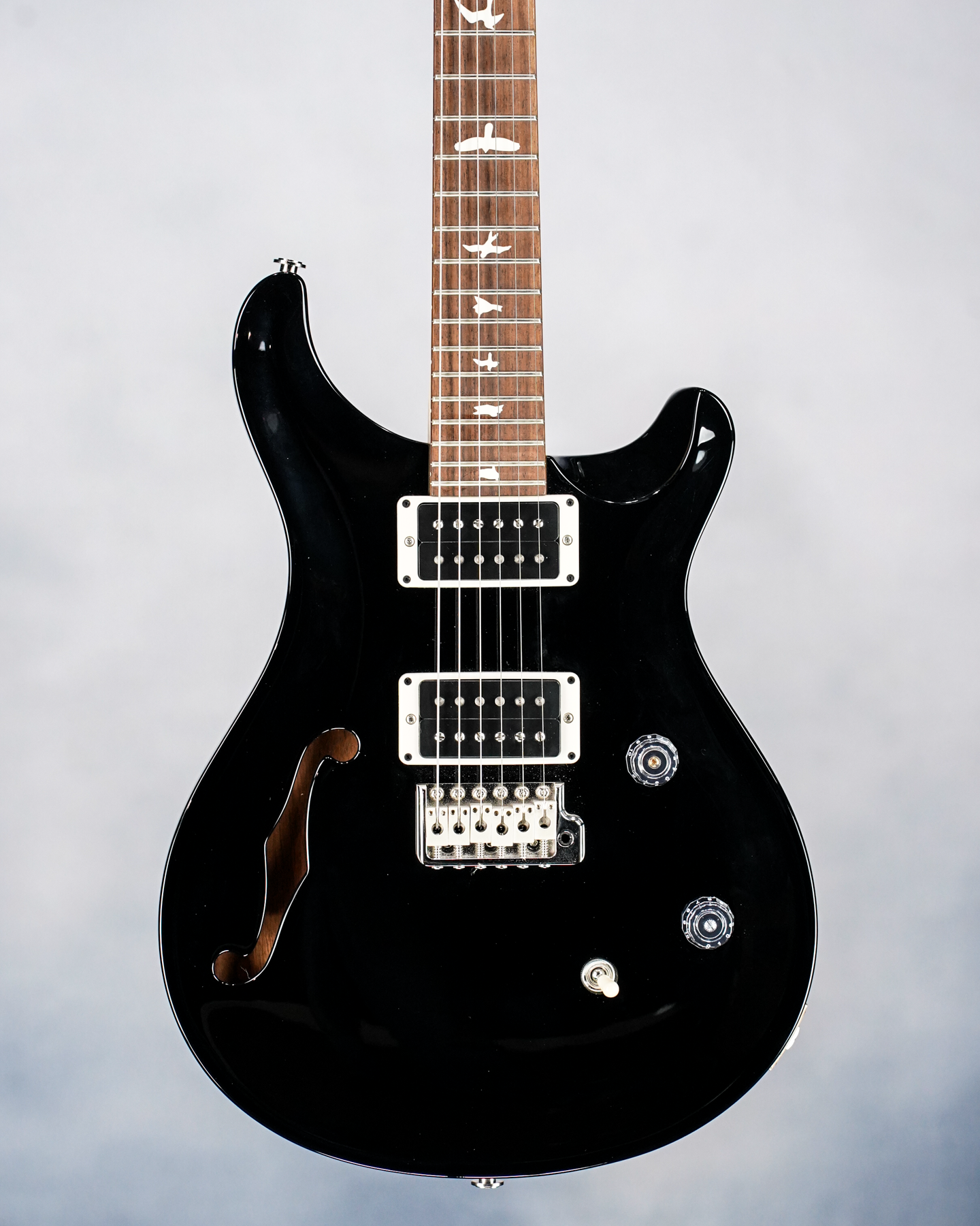 CE-24 Semi-Hollow, Custom Color, All Black Wrap