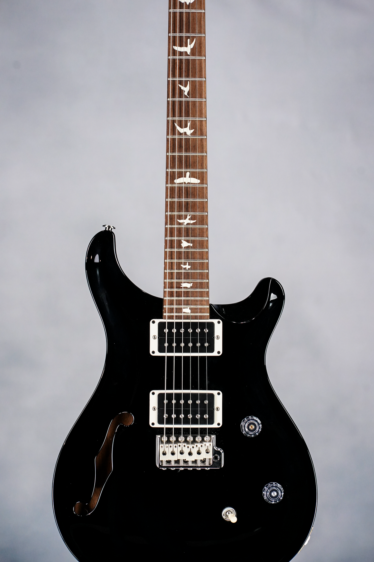 CE-24 Semi-Hollow, Custom Color, All Black Wrap