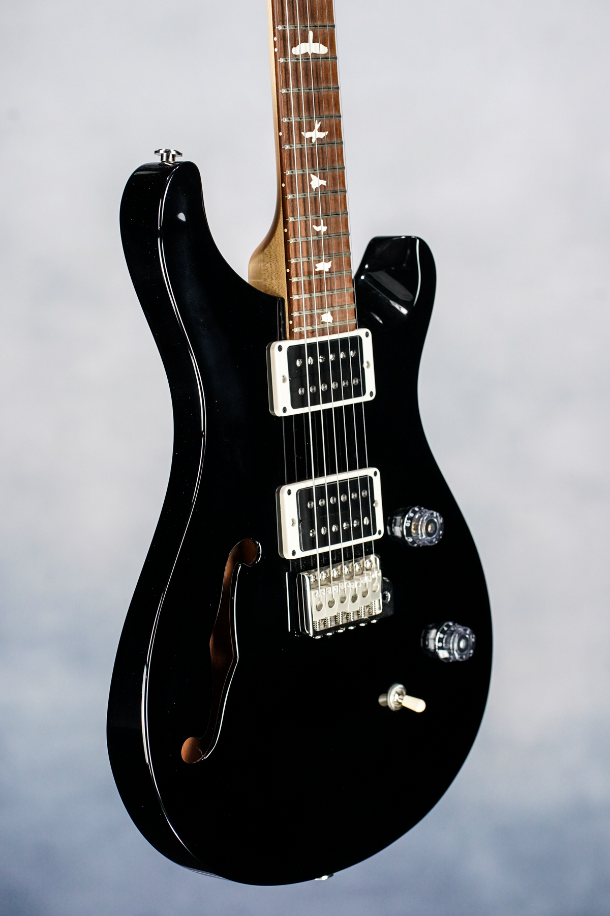 CE-24 Semi-Hollow, Custom Color, All Black Wrap