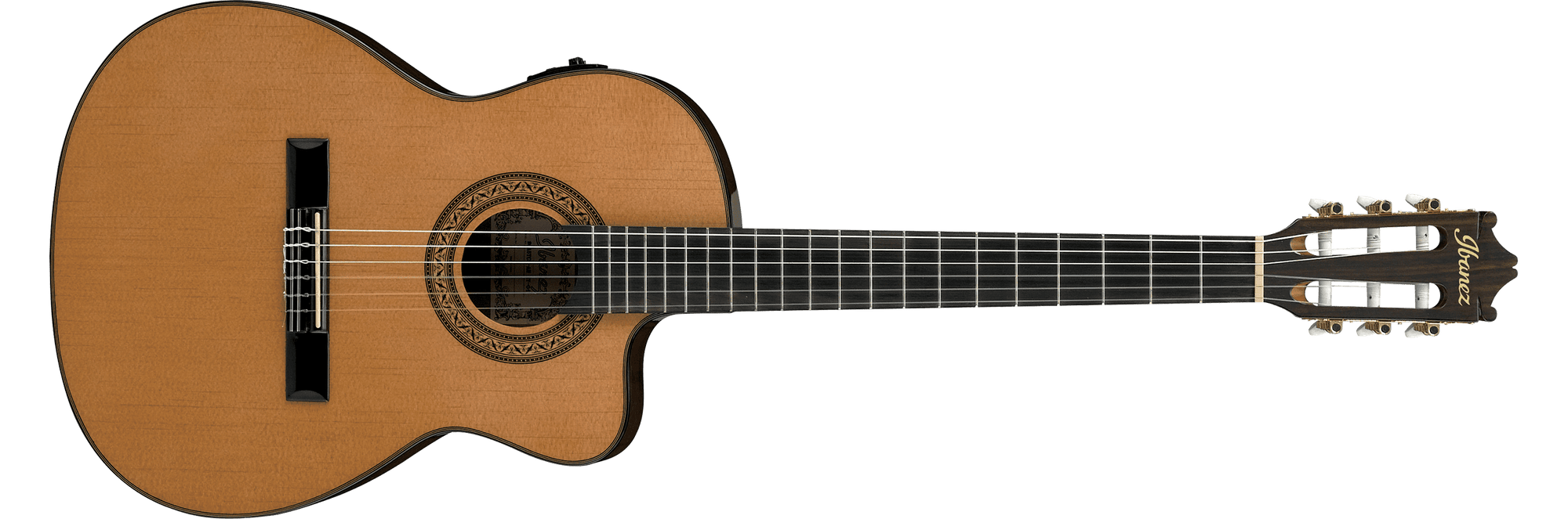 GA5TCE Thinline Classical Acoustic-Ele