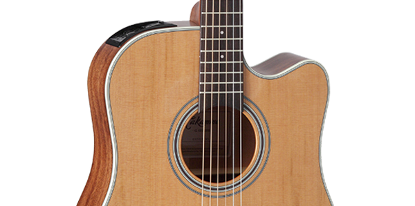 GD20CE-NS Dreadnought Cutaway A/E Guitar