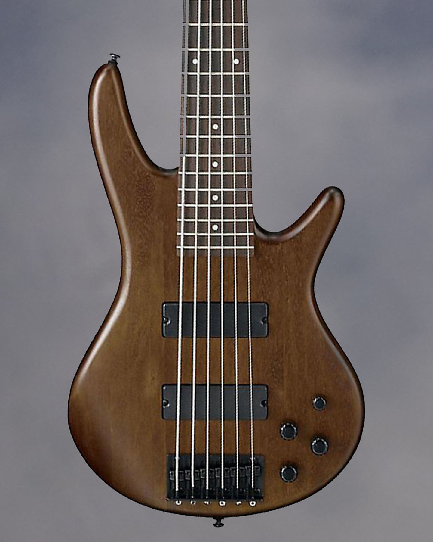 GSR206BWNF 6-String Electric Bass, Rosewood Fretboard, Walnut Flat