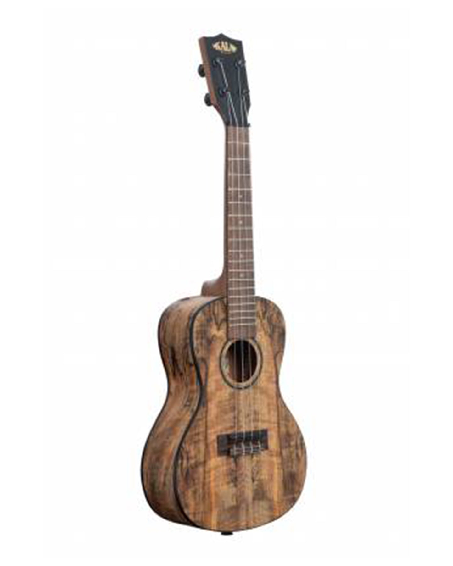 Spalted Mango Concert Ukulele