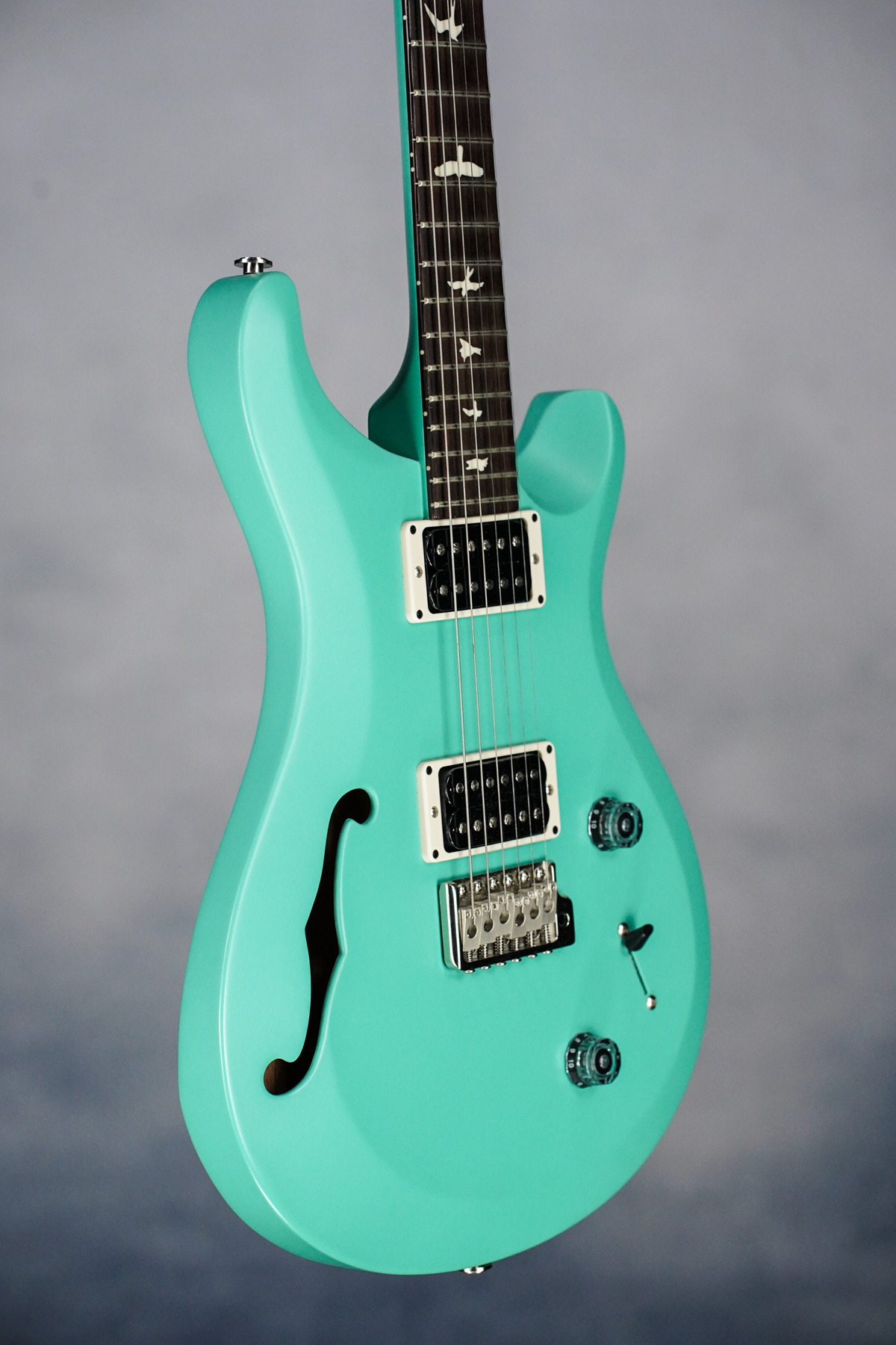 S2, Custom 22, Semi-Hollow, Robin's Egg Blue