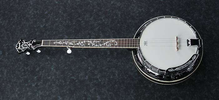 B300 5-String Banjo with Rosewood Resonator