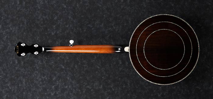 B300 5-String Banjo with Rosewood Resonator